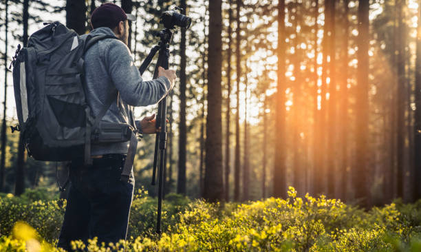 istock Photographer takes a picture in Silent Forest in spring 1082955204