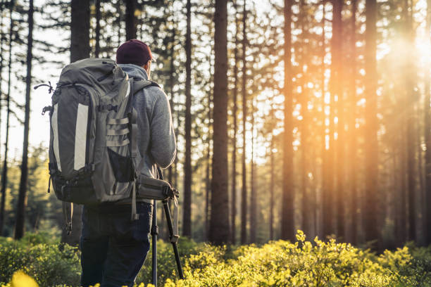 istock Photographer takes a picture in Silent Forest in spring 1082955242