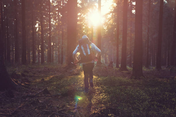 istock Young man in silent forrest with sunlight 1082957816