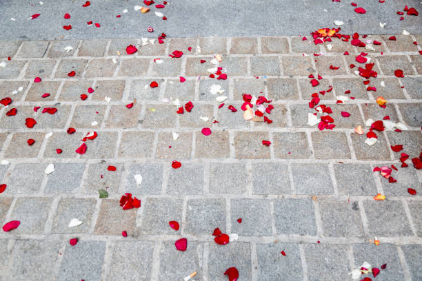 istock cobblestone floor with rose petals 1082961784