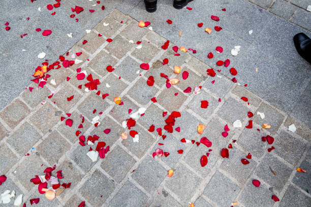 istock cobblestone floor with rose petals 1082961880