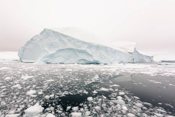 istock Massive Iceberg floating in Arctic Ocean in Greenland 1082965316