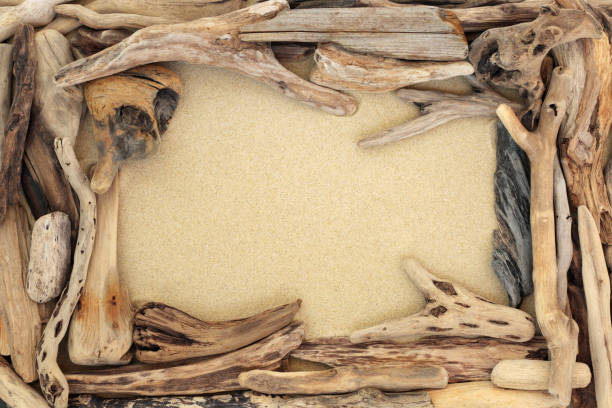 istock Abstract Driftwood Background Border 1082968102