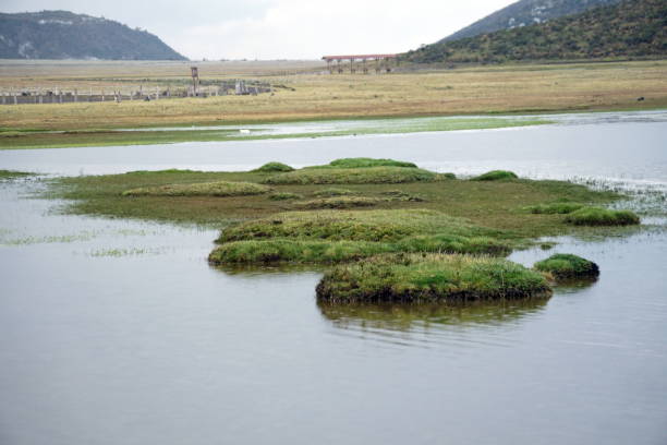 istock Small islands in a high altitude lake 1082968554