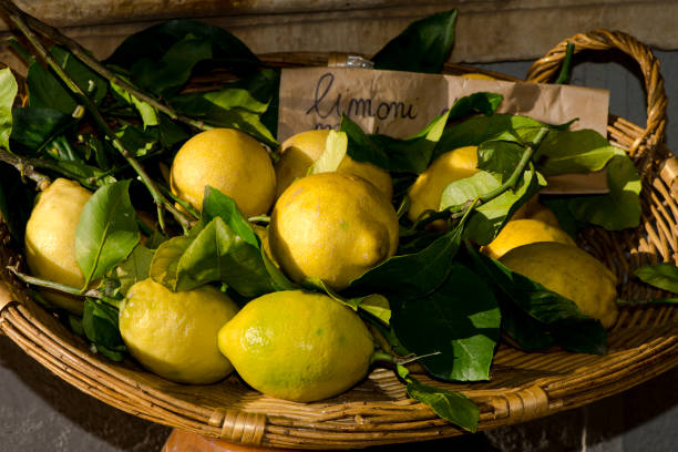 istock A basket of lemons 1082983188