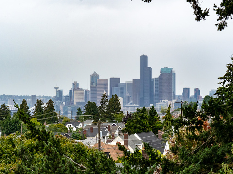 Skyline of Seattle from residential neighborhood on a overcast day