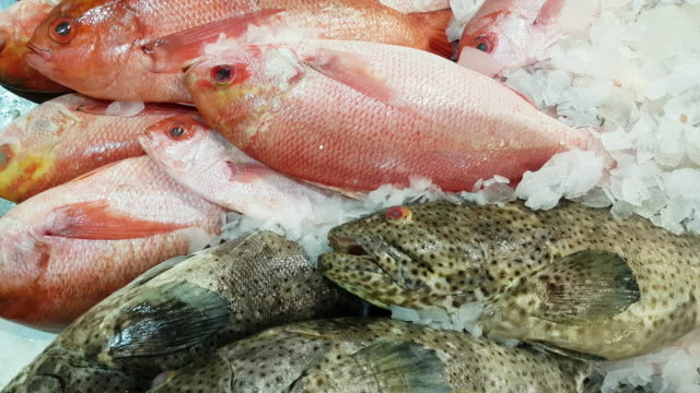 Red Snapper and Black Spotted Grouper on Fish Market Display