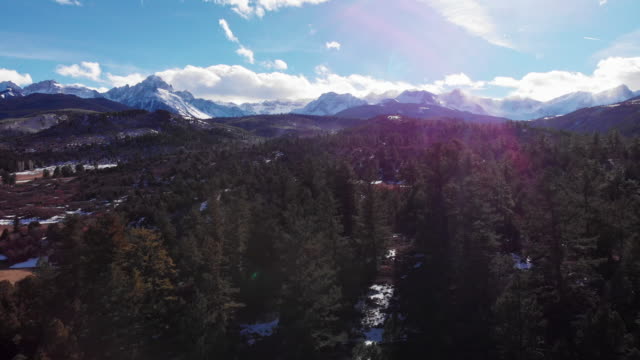 Trucking Forward Aerial Drone Shot of a Forest and Snowy Peaks of the San Juan Mountains (Rocky Mountains) outside Telluride, Colorado on a Bright, Winter's Day