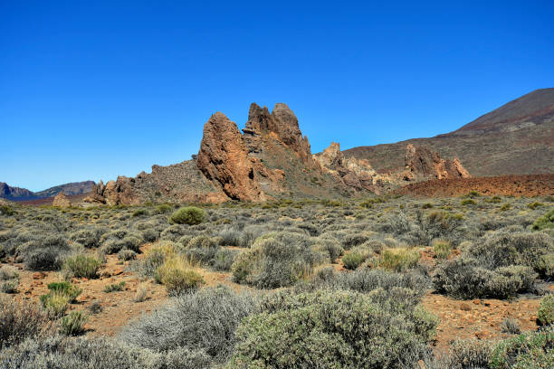 istock Spain, Canary Islands, Tenerife, Teide National Park 1082994340