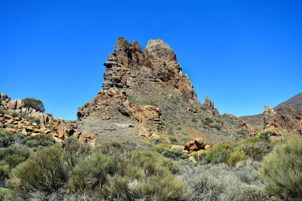 istock Spain, Canary Islands, Tenerife, Teide National Park 1082994596