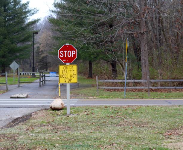 istock Stop Sign at Crosswalk 1082994656