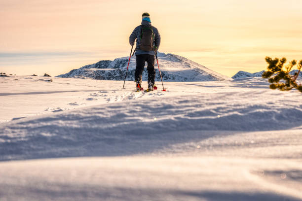 vista del atardecer de la montaña del esquí de travesía - skiing colorado sawatch range usa fotografías e imágenes de stock