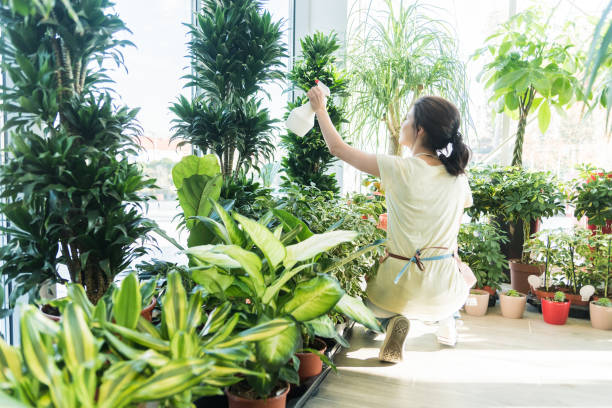 istock Woman gardener watering plants 1083002220