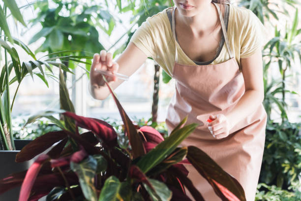 istock Female gardener putting supplement drops on plant 1083002282