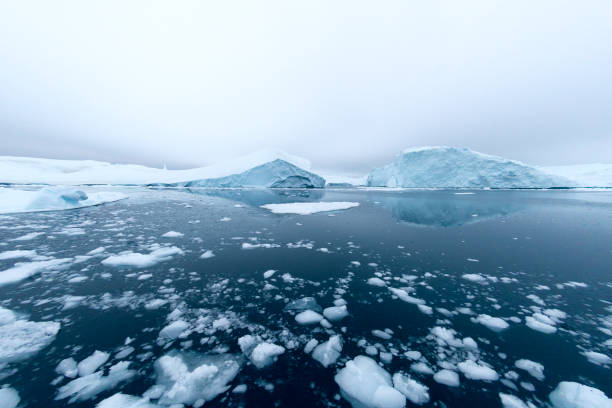 eisberg im arktischen ozean, grönland - südpolarmeer stock-fotos und bilder