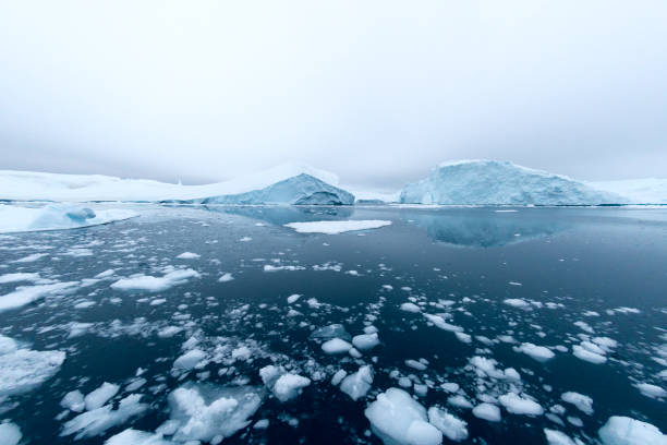 iceberg in arctic ocean,greenland - arctic sea imagens e fotografias de stock