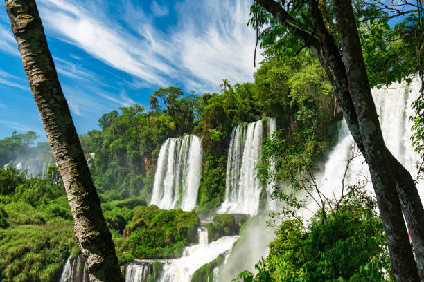 istock Beautiful View of Iguazu Falls 1083007974