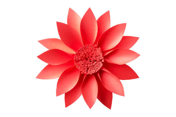 istock Red handmade paper flower isolated on white background. 1083011988