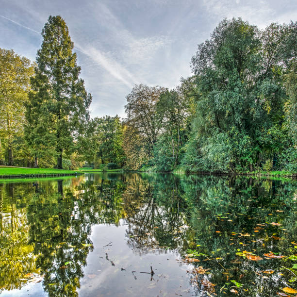 Square format image with the blue sky and the trees in autumn colors reflecting in a pond in The Park in Rotterdam