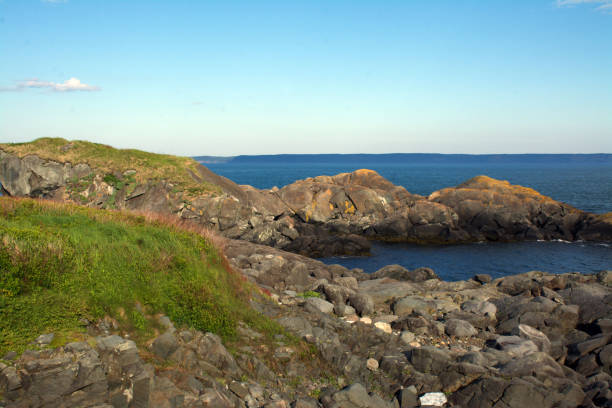 istock Coastline at Herring Cove Provincial Park 1083018780