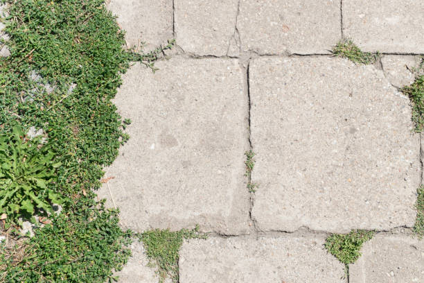 istock Grey Old Stone Pavement Top View or Granite Cobblestone Road 1083019580