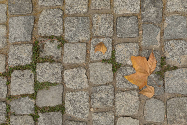 istock Grey Old Stone Pavement Top View or Granite Cobblestone Road 1083019632