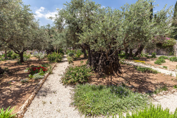 istock Nice view of garden Gethsemane 1083027622