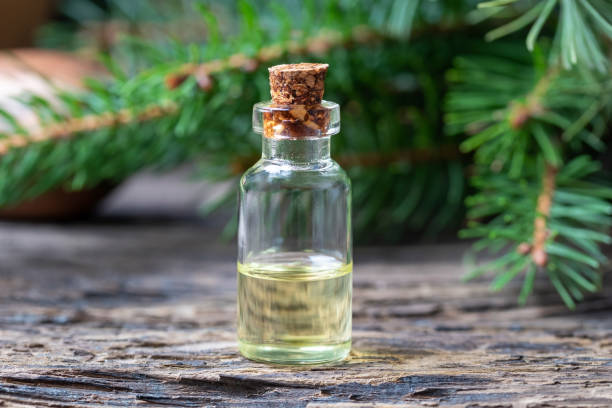 istock A bottle of spruce essential oil with fresh spruce branches 1083027636