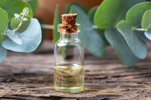 istock A bottle of eucalyptus essential oil with eucalyptus leaves 1083027642