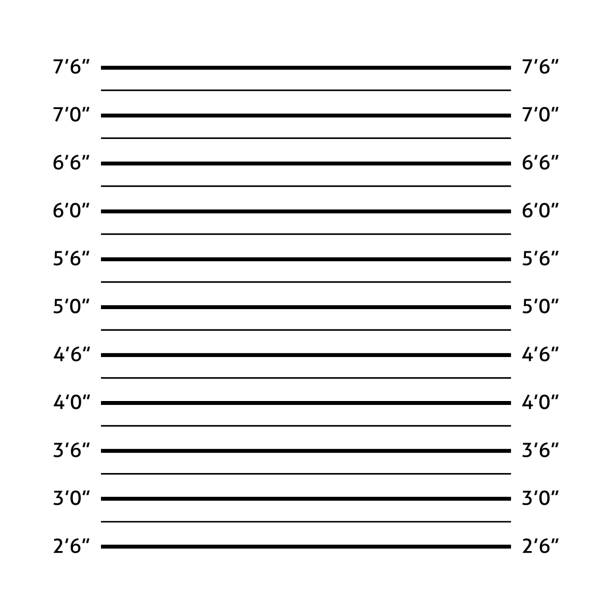 Police lineup or mugshot background with anonymous shadow. Police lineup or mugshot background with anonymous shadow. Vector illustration template lineup stock illustrations