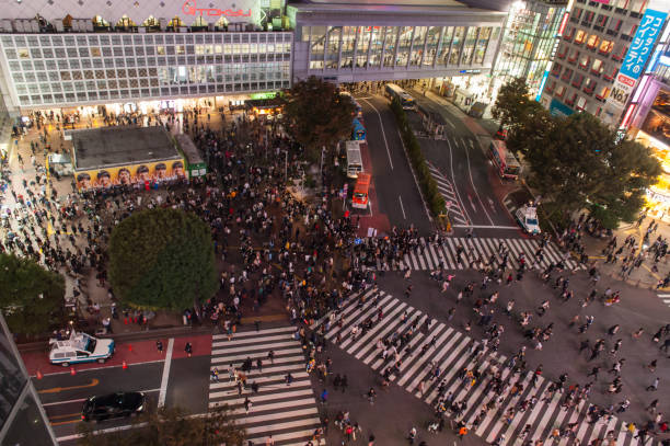istock crowded Shibuya cross road, Tokyo 1083033090