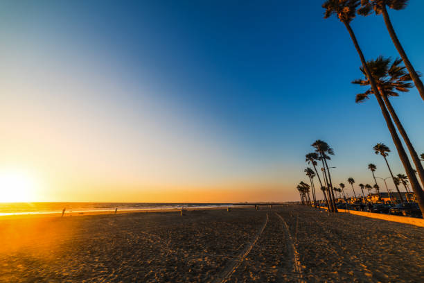 istock Palm trees and sandy shore in Newport Beach at sunset 1083036480