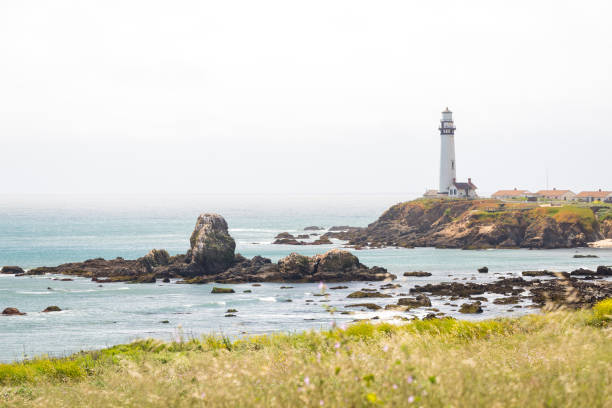 latarnia morska point arena w hrabstwie mendocino, kalifornia, stany zjednoczone. - mendocino county northern california california coastline zdjęcia i obrazy z banku zdjęć