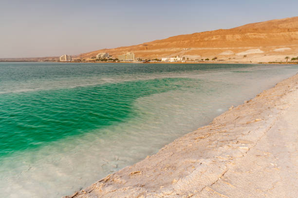istock Beautiful view of the Dead Sea . 1083051392