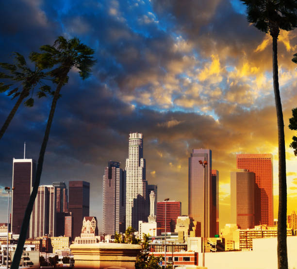 istock Palm trees silhoeuttes with downtown Los Angeles on the background at sunset 1083061476