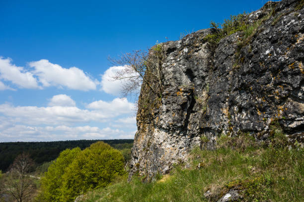 altmuhltal panoramic path with rocks bavaria germany - altmühltal imagens e fotografias de stock
