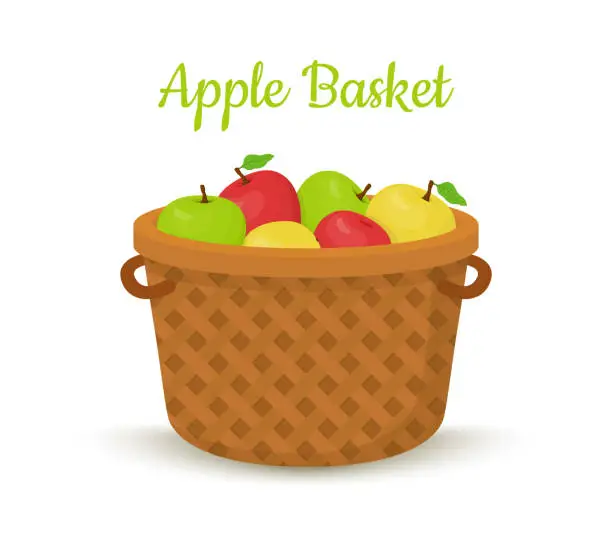 Vector illustration of Vector brown basket with apples. Bright fruits