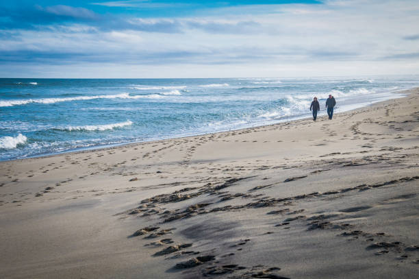 grudniowy spacer - cape cod national seashore zdjęcia i obrazy z banku zdjęć