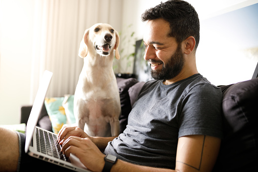 Man using laptop with his dog on couch.