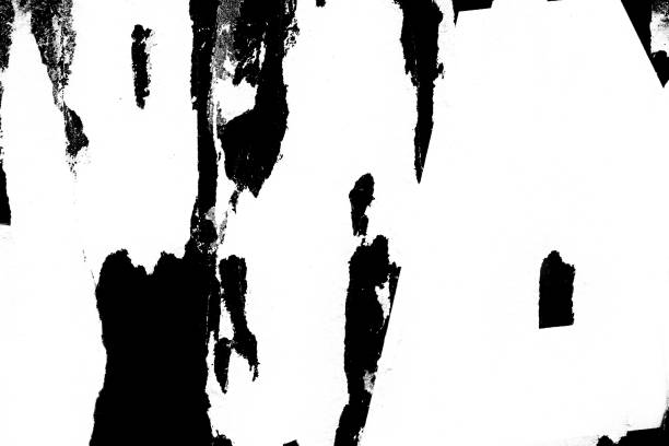 istock Blank white black old ripped torn paper crumpled creased posters grunge textures backdrop backgrounds placard 1083082624