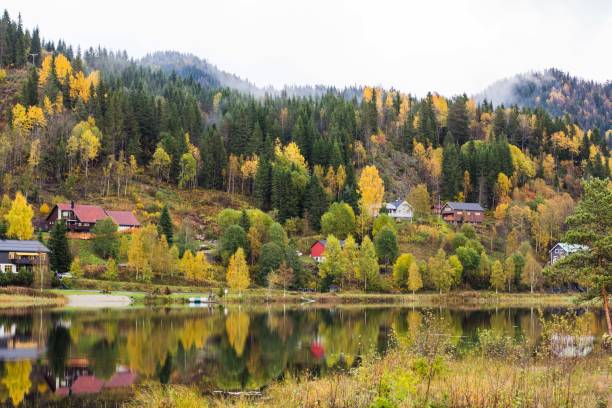 istock Mountain and trees in fall reflected on lake in Norway 1083094112