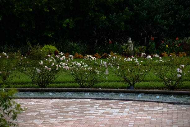 Landscape. A stream in front of rose garden. Created in Orlando, FL, 09/03/2018
