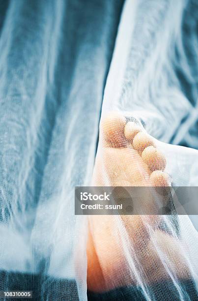 Babys Foot Stock Photo - Download Image Now - Mosquito Netting, Baby - Human Age, Childhood