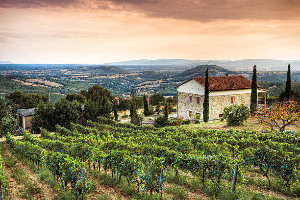 paysage en toscane - villa photos et images de collection