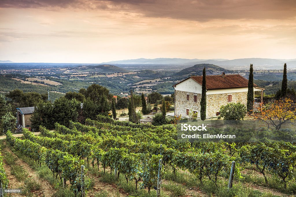 Tuscany Landscape  Italy Stock Photo