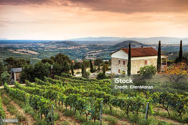 Tuscany Landscape Stock Photo - Download Image Now - Italy, Tuscany, Vineyard