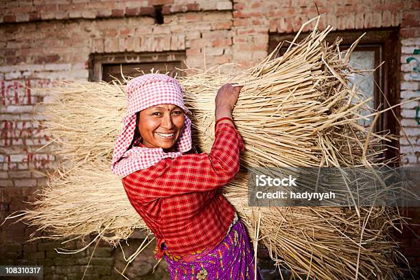 Photo libre de droit de Le Népalais Femme banque d'images et plus d'images libres de droit de Adulte - Adulte, Agriculteur, Agricultrice