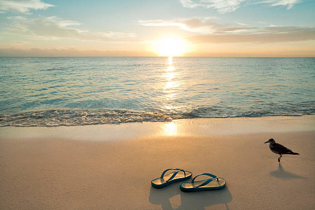 sonnenaufgang auf flip-flops am strand - salzwasser sandalen stock-fotos und bilder