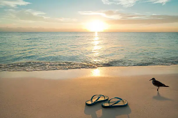 Photo of Sunrise On Flip-Flops At The Beach