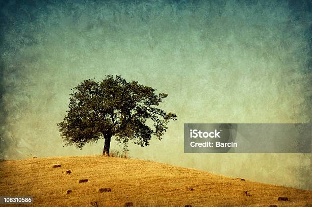 외로운 나무 복고풍 포토서제스트 밀짚에 대한 스톡 사진 및 기타 이미지 - 밀짚, 질감 효과, 0명